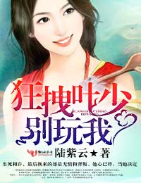 狂拽叶少的婚事