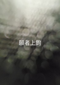 愿者上钩