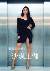 沙漠王储～圣殿骑士团 2