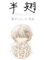 半翅