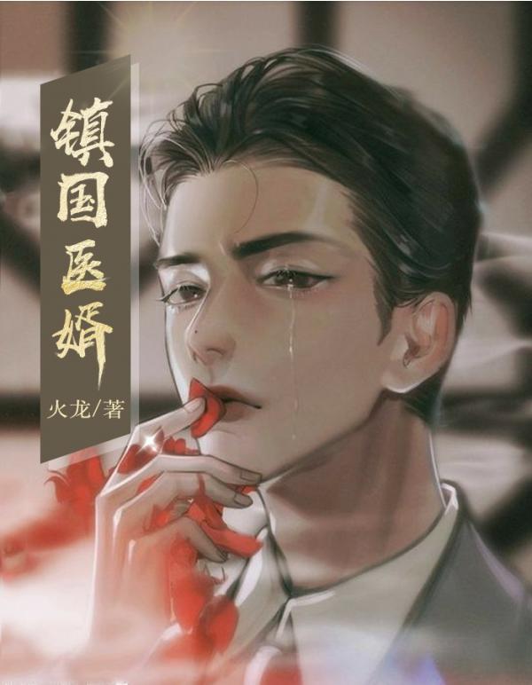 镇国医婿