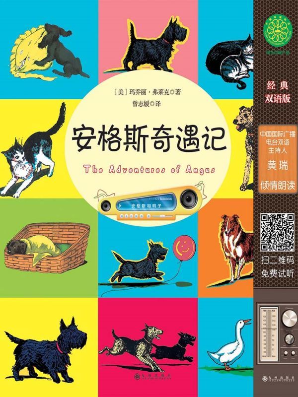 安格斯奇遇记