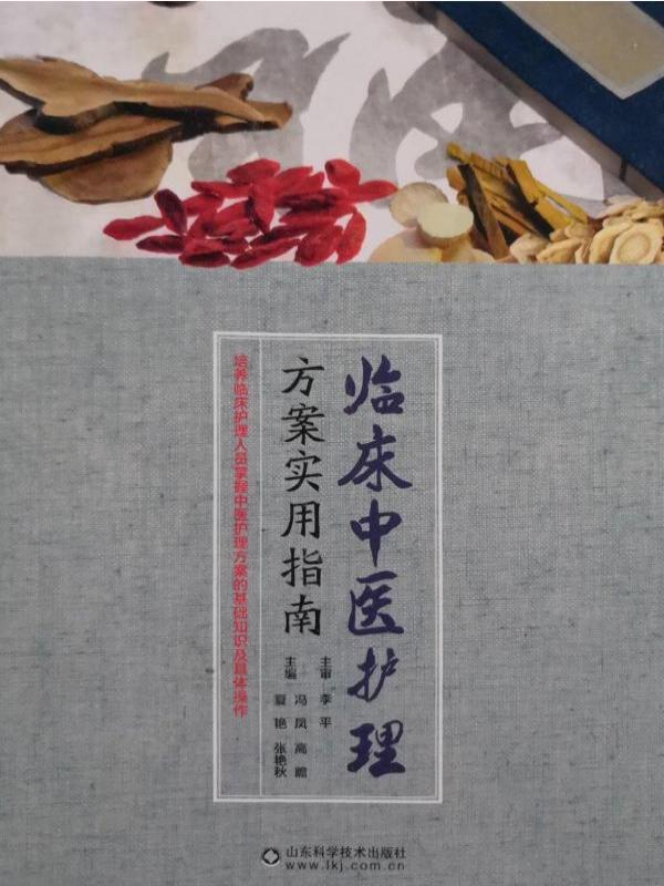 临床中医护理方案实用指南