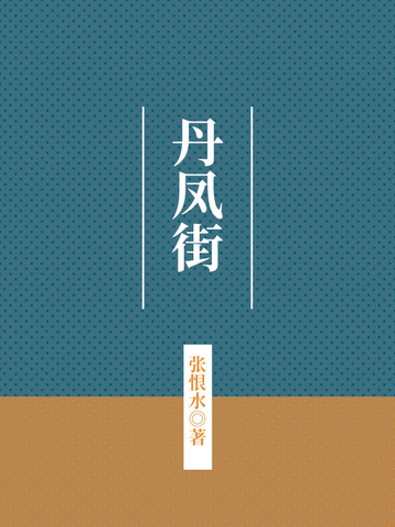 丹凤街