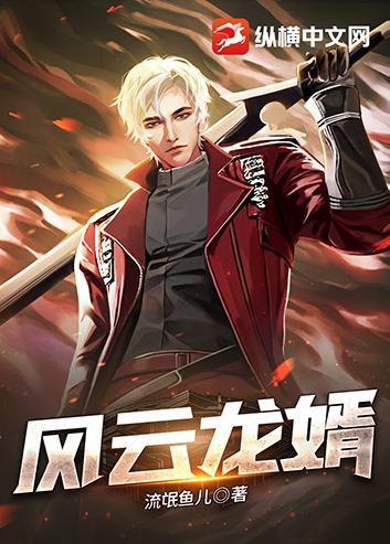 风云龙婿
