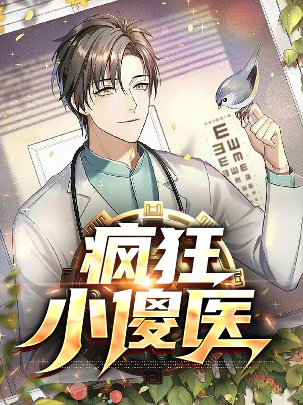 疯狂小傻医