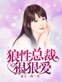 狼性总裁狠狠爱