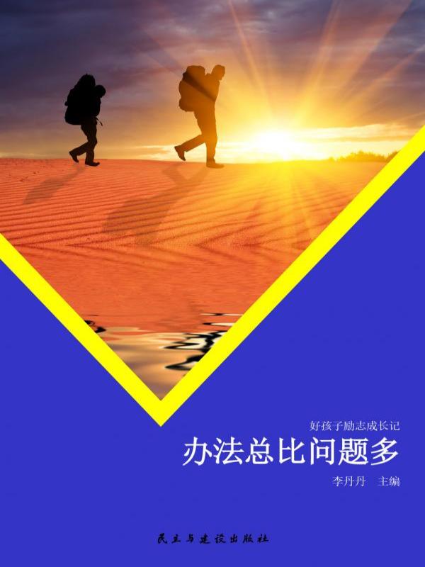 办法总比问题多