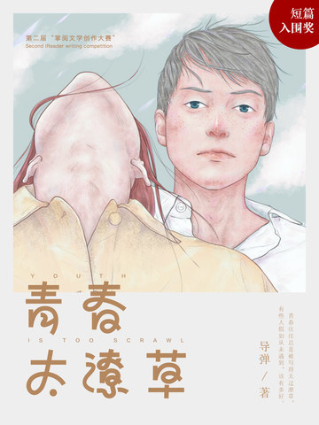 青春太潦草