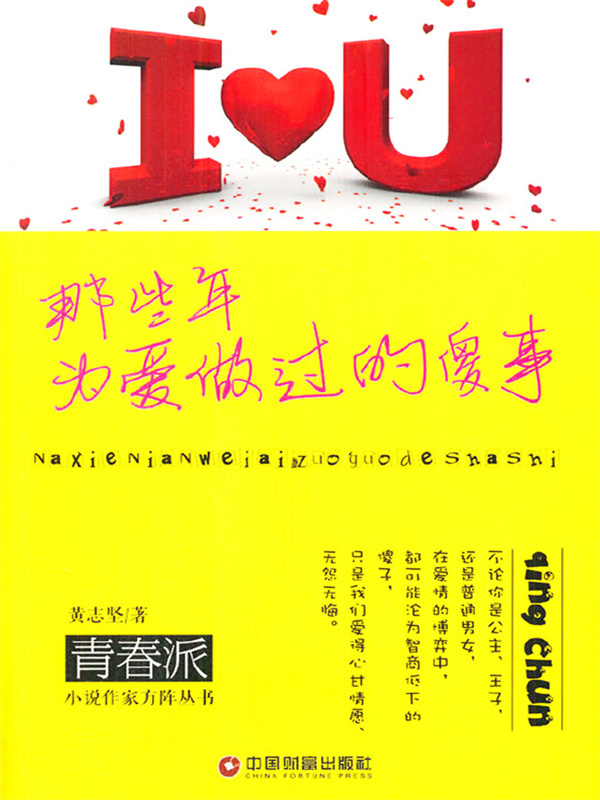 那些年为爱做过的傻事