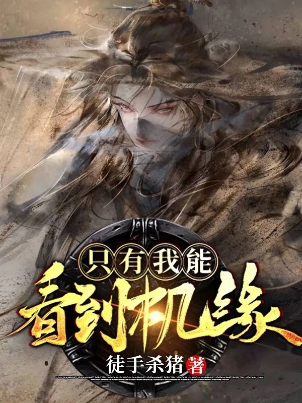 只有我能看到机缘
