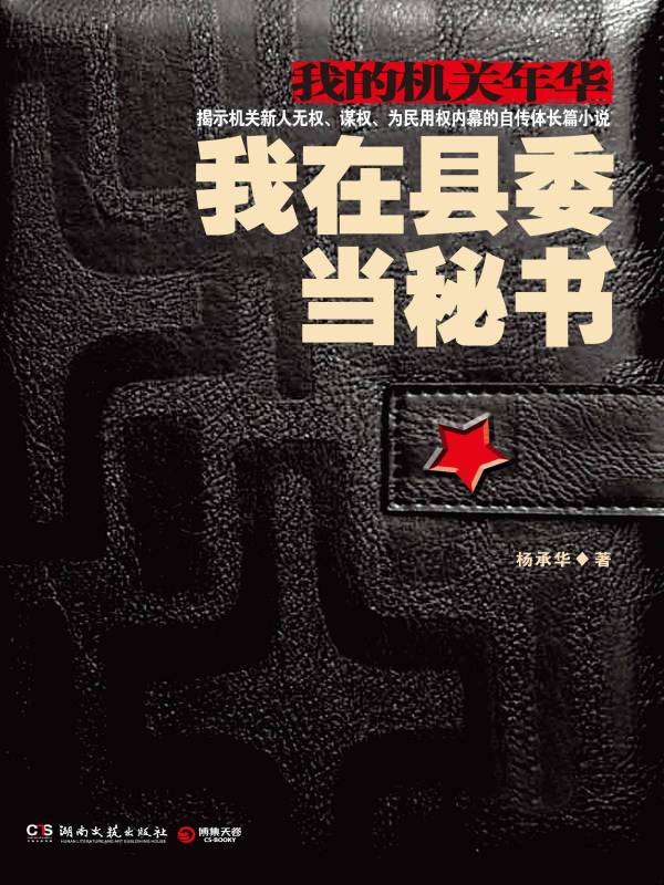 我在县委当秘书