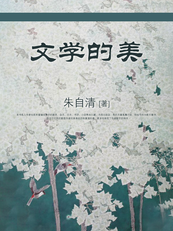 文学的美