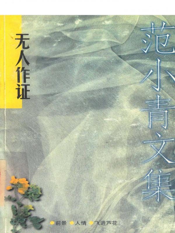 无人作证 范小青文集1