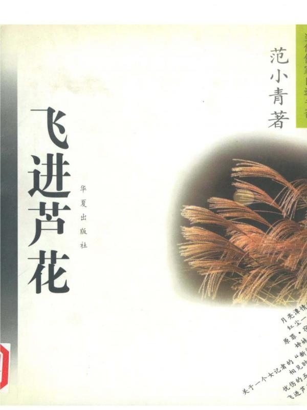飞进芦花