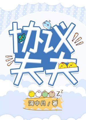协议夫夫