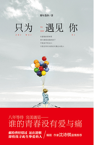 只为遇见你