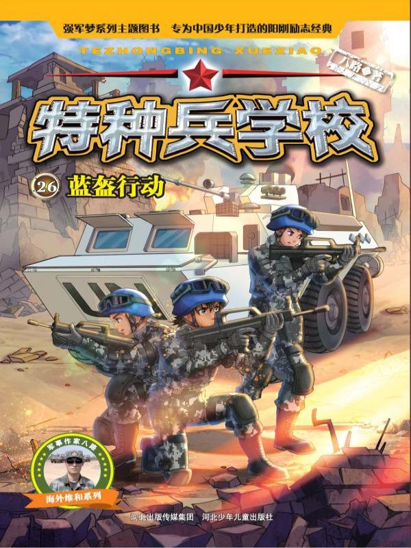 蓝盔行动