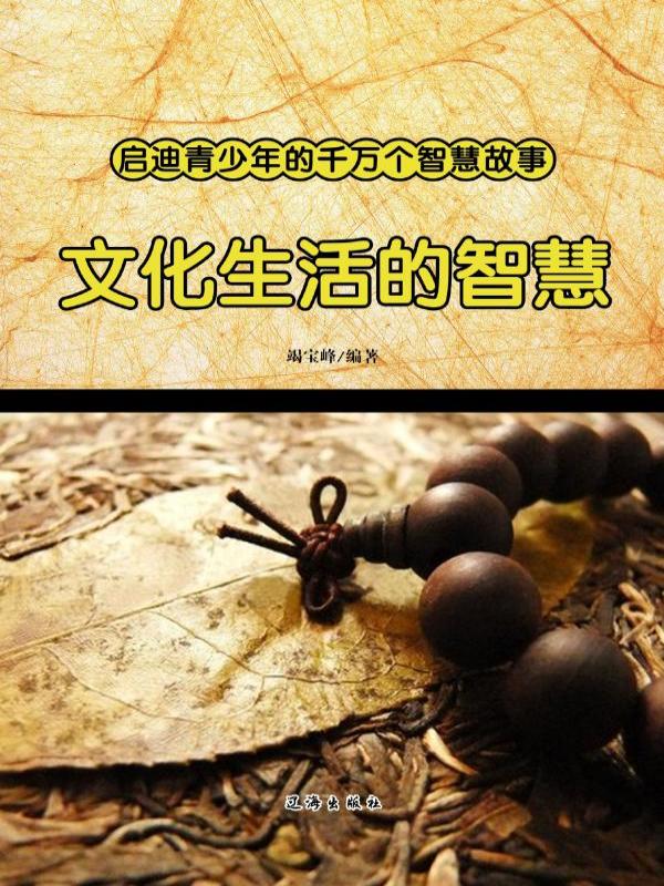 文化生活的智慧