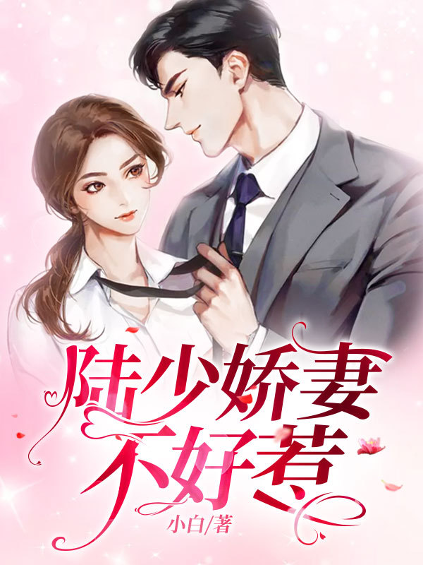 陆少娇妻不好惹