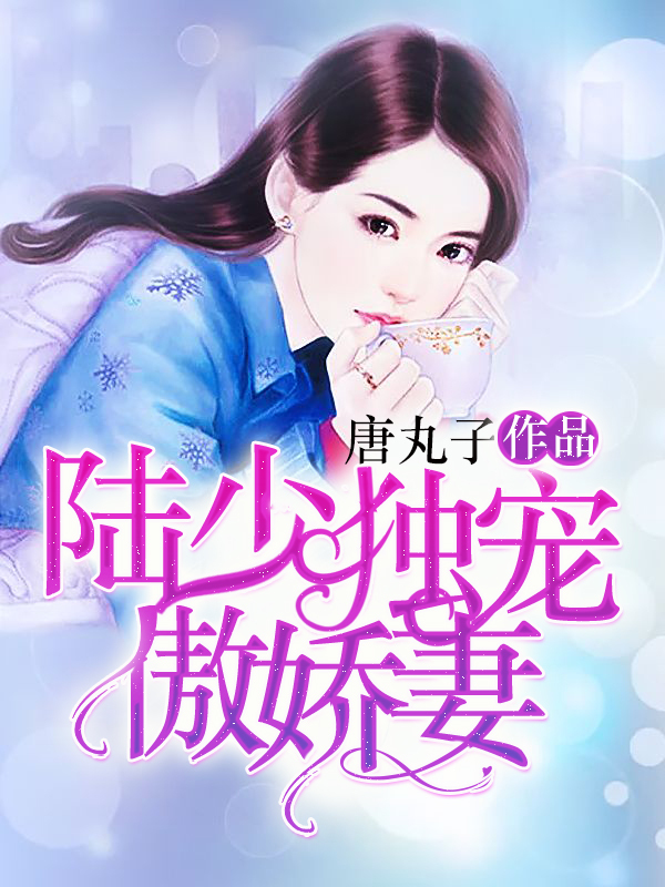陆少独宠傲娇妻