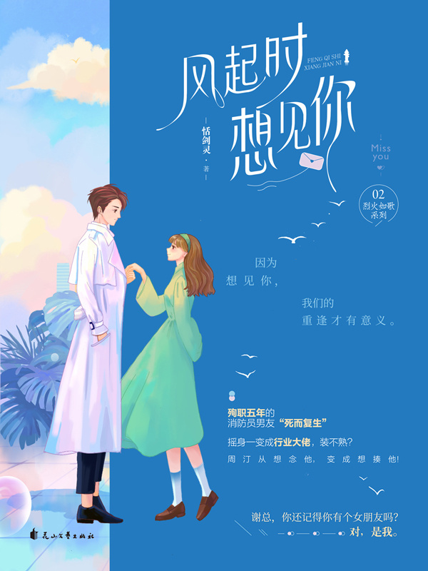 风起时想见你