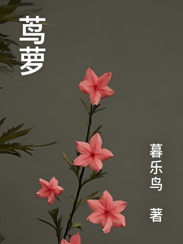 茑萝