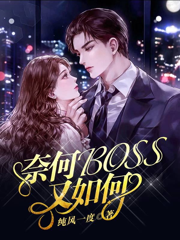 奈何BOSS又如何