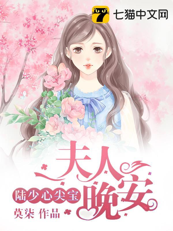 陆先生的心尖宝