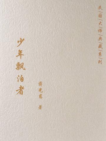 少年飘泊者
