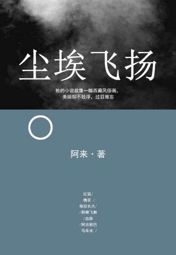 尘埃飞扬