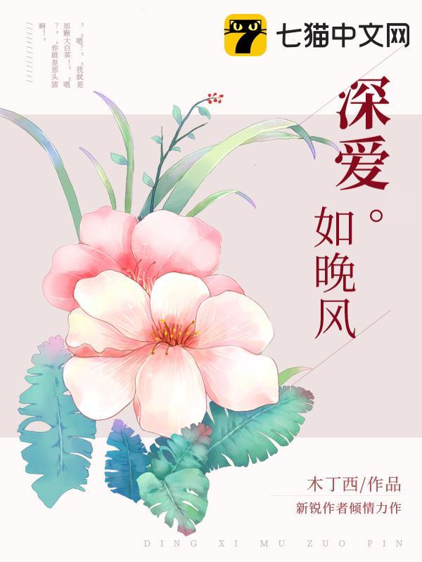 深爱如晚风