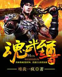 魂武至尊
