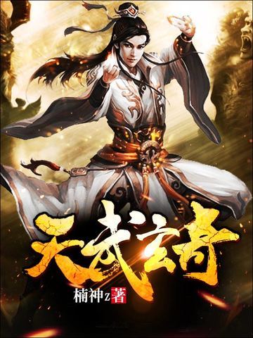 天武玄奇