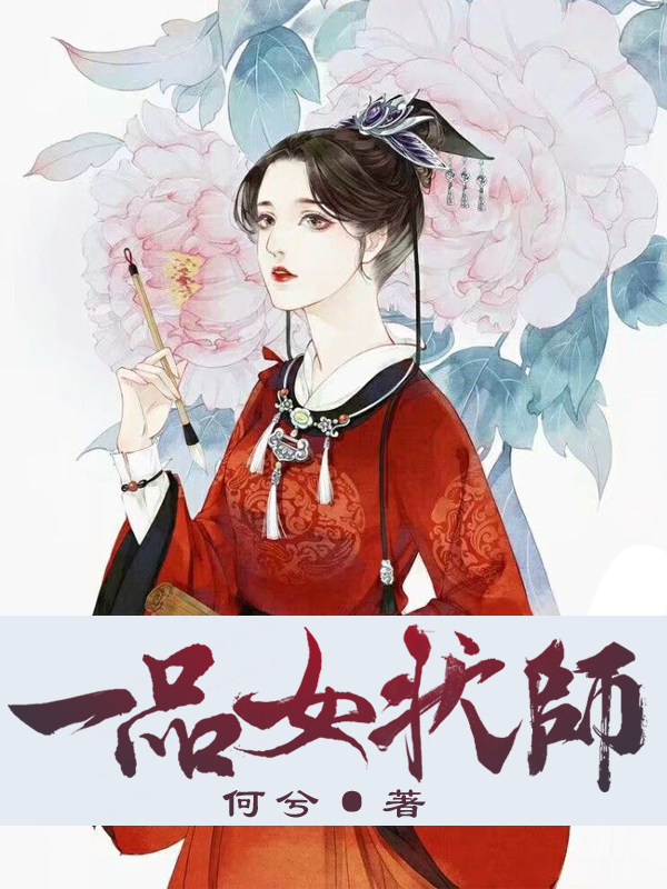 一品女状师