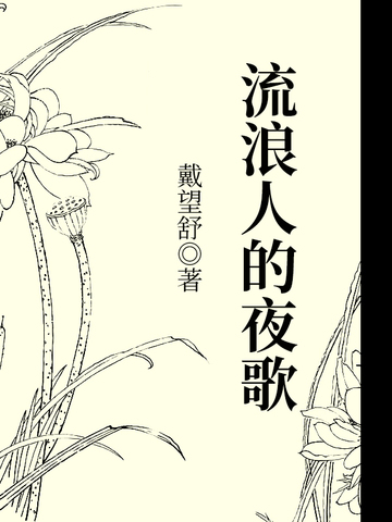 流浪人的夜歌