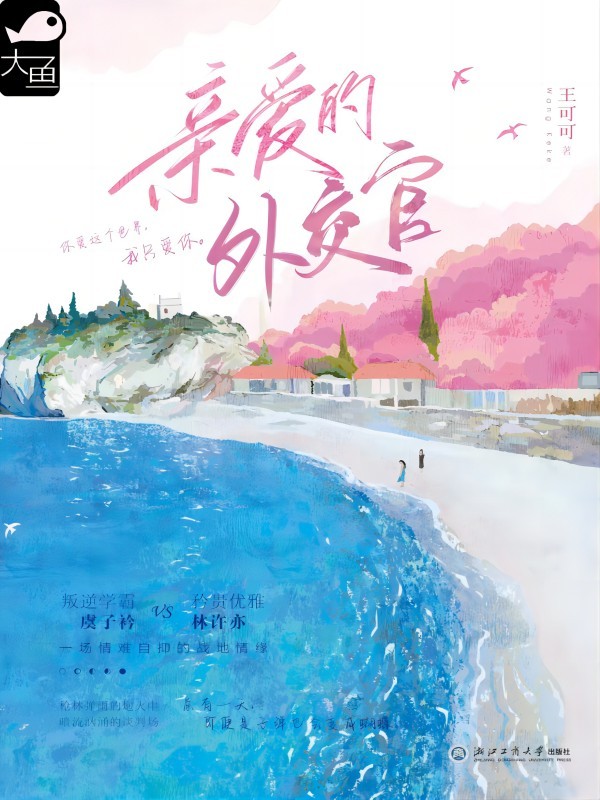 亲爱的外交官