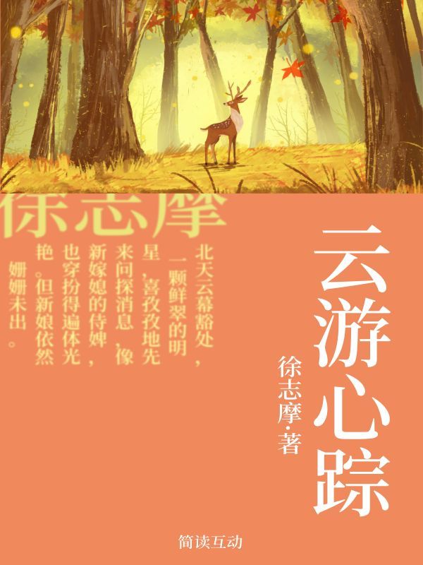 云游心踪