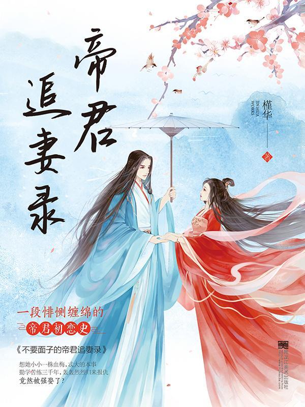帝君追妻录