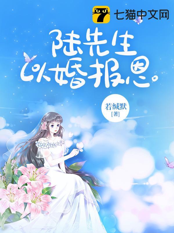 陆先生以婚报恩