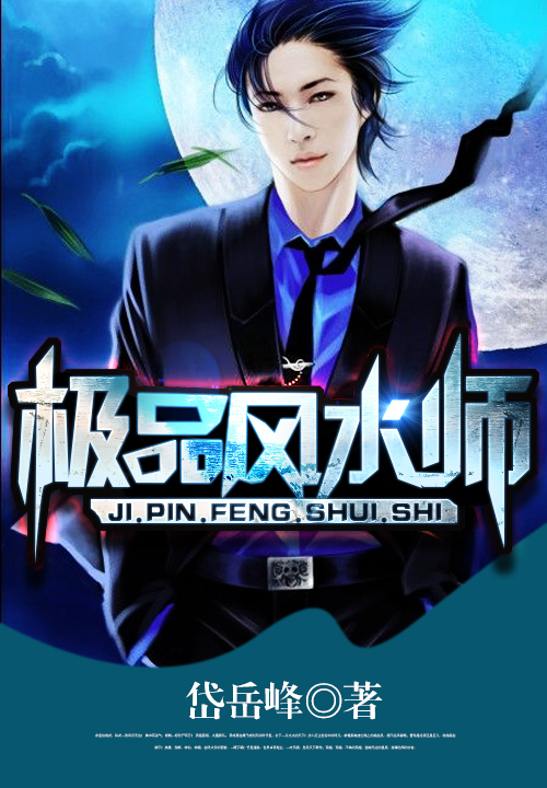 极品风水师