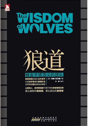 狼道：做金字塔顶尖的团队