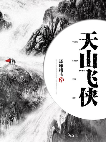 天山飞侠