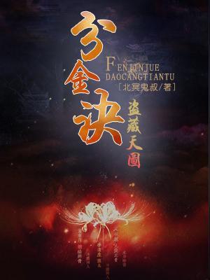 分金诀：盗藏天图