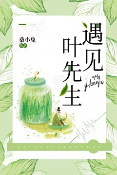 遇见叶先生