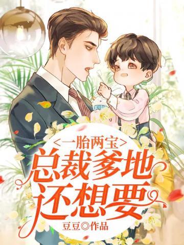 一胎两宝总裁爹地还想要