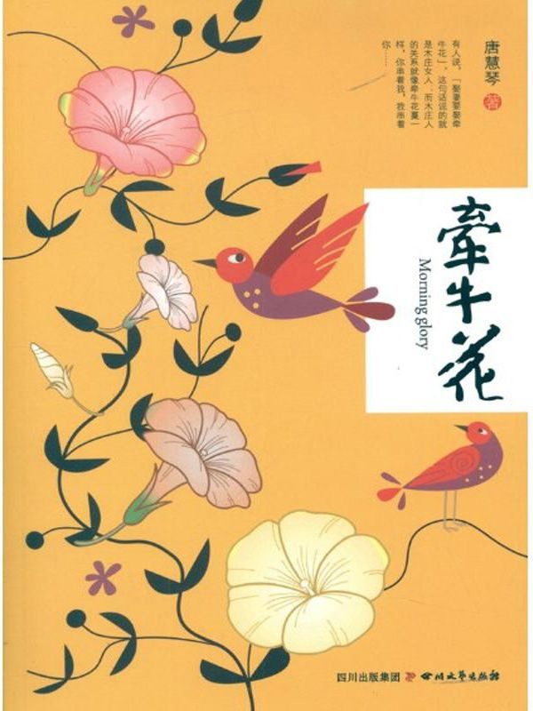 牵牛花