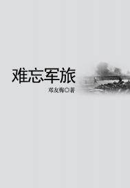 难忘军旅(出版)